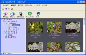 �c���[�����}