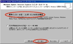 Internet Explorer �Z�b�g�A�b�v�`���̑I��