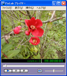 �s�N�X���{�v���C���[